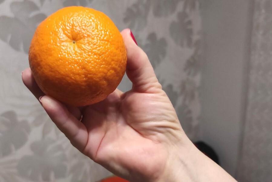 Новогодние мандарины в Калининграде: Россельхознадзор проверил более 700 тонн импорта