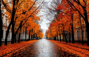 Вильфанд: На Кубани температура будет находиться на уровне 17-19 градусов