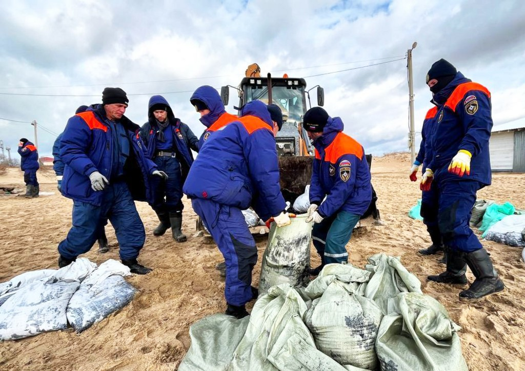 За двое суток на берегу Анапы нашли уже второго мертвого дельфина