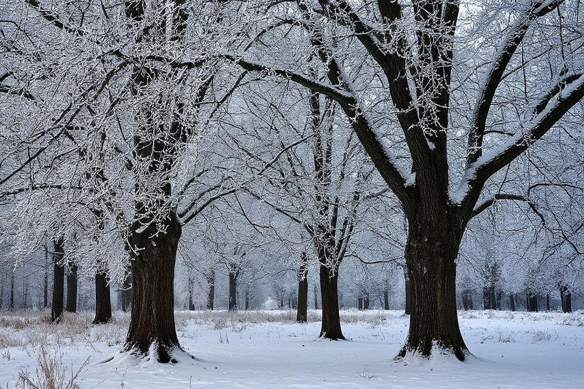 В Челябинске из-за аномального мороза ученикам начальной школы отменили уроки