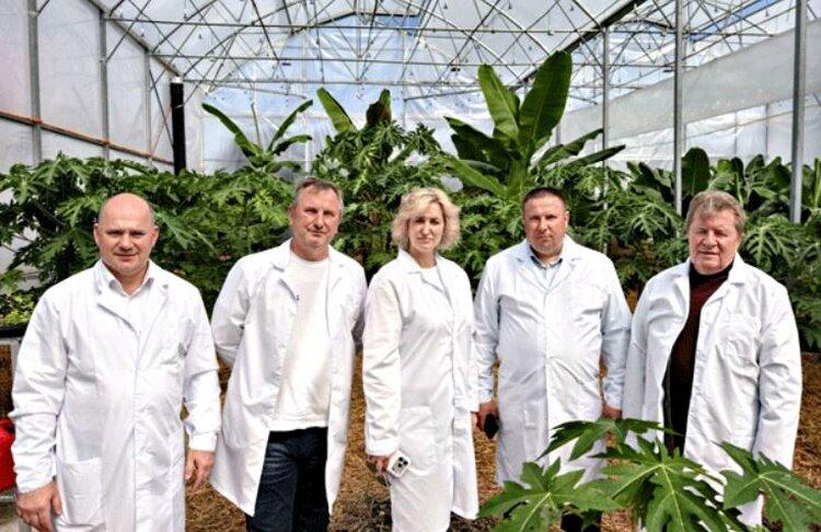 «Дороговато, но свои»: Путин признал проблему сочинских бананов и велел защитить фермеров от импорта