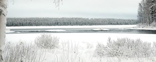 На озере Большое в Оренбуржье найдено тело мужчины