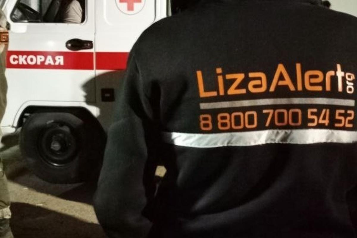 «ЛизаАлерт» Воронежской области подвела итоги поисковых работ в праздничные дни