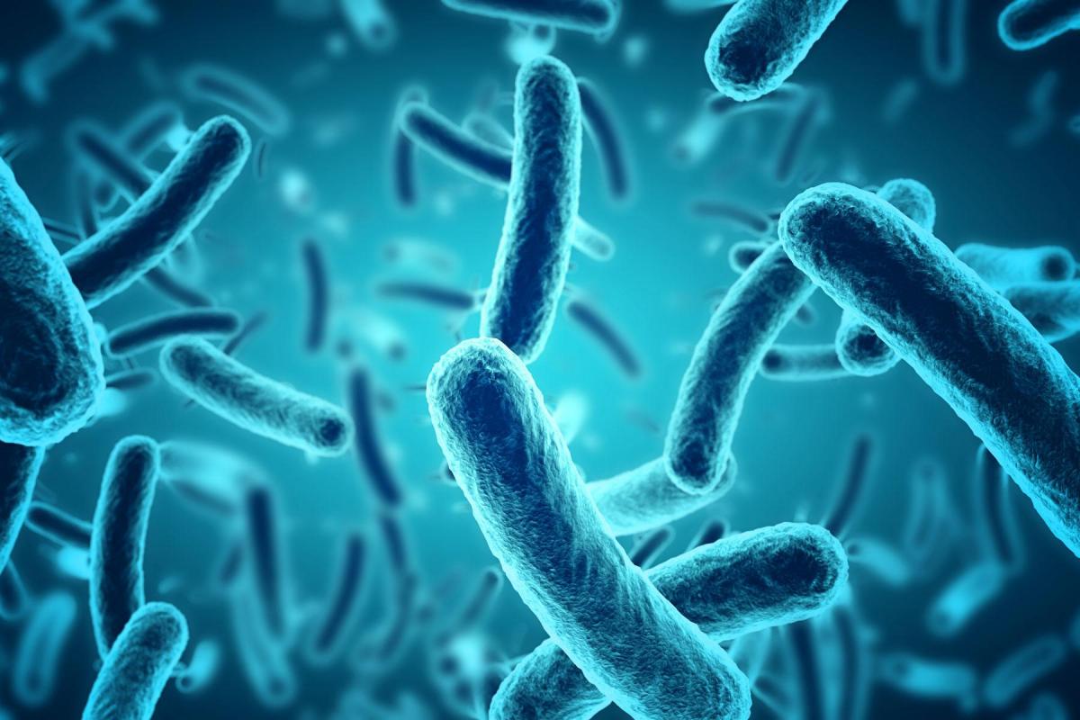 Ученые с помощью искусственного интеллекта создали антибиотик для борьбы с супербактериями