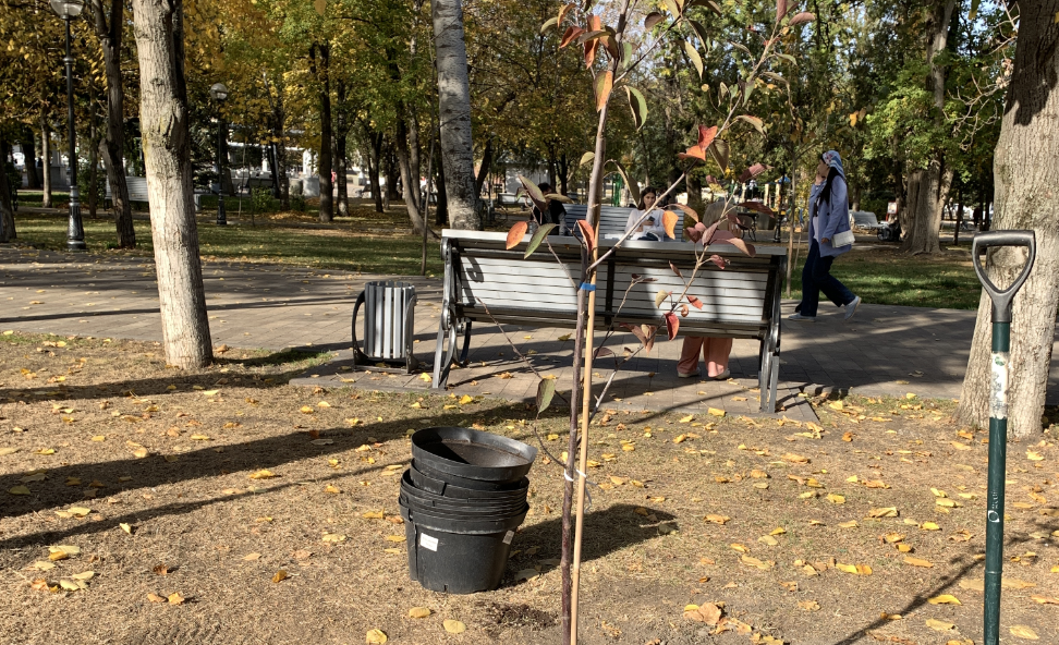 В Карачаево-Черкесии построили две Аллеи педагогов и наставников