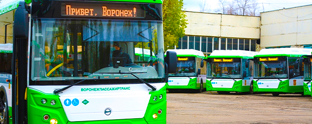 В Воронеже с сентября на пять рублей подорожает проезд в городском транспорте