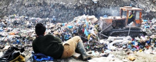 В Краснодарском крае в сезон отпусков прогнозируется мусорный коллапс