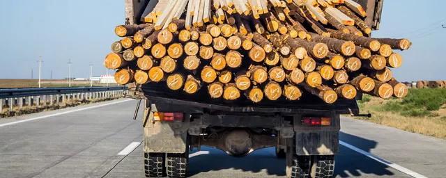 В Молдавии заканчиваются запасы дров