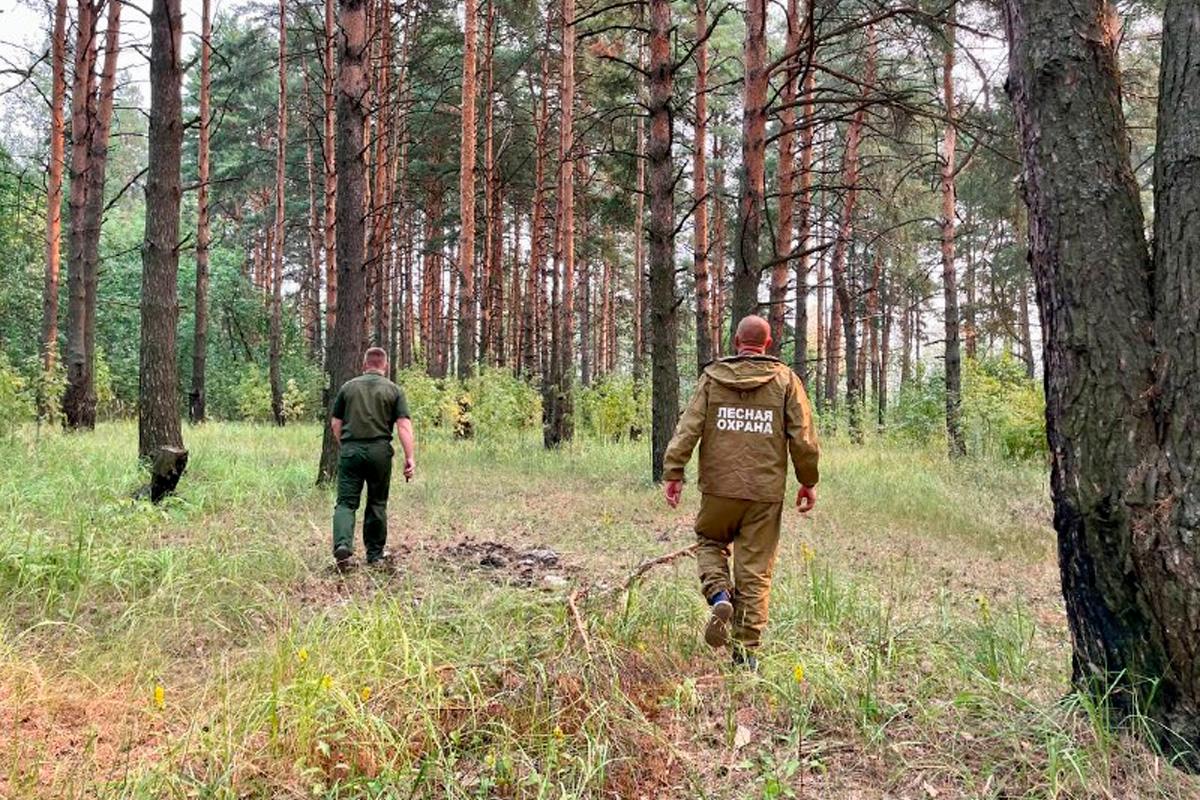 Губернатор Сергей Ситников: В Костромской области установлен особый противопожарный режим из-за жаркой и сухой погоды