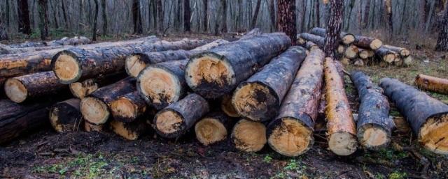 Житель Марий Эл обвиняется в контрабанде лесоматериалов на сумму свыше 1 млн рублей