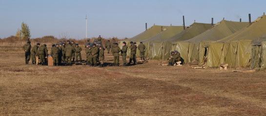 Минтруда НСО: Единовременные выплаты мобилизованным осуществляются вовремя и в полном объеме