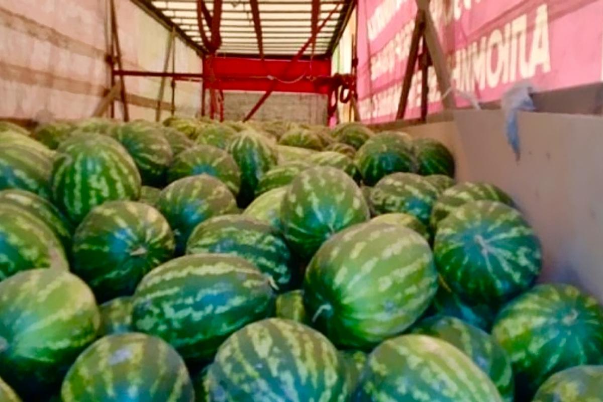 На границе с Белоруссией развернули фуру с 12 тоннами арбузов из-за нарушений