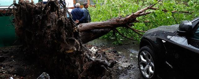 Военных привлекли к ликвидации последствий урагана в Москве