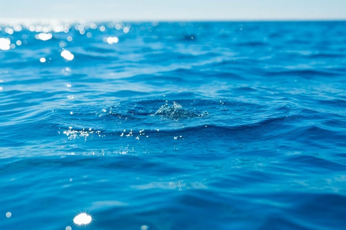 В Новосибирской области зафиксирована рекордная гибель людей на водоемах