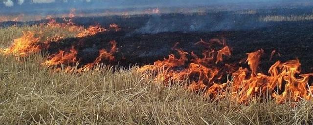 В Адыгее в 13 селах ввели режим пожарной опасности