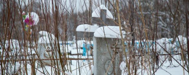 В Архангельской области собираются построить школу на территории кладбища