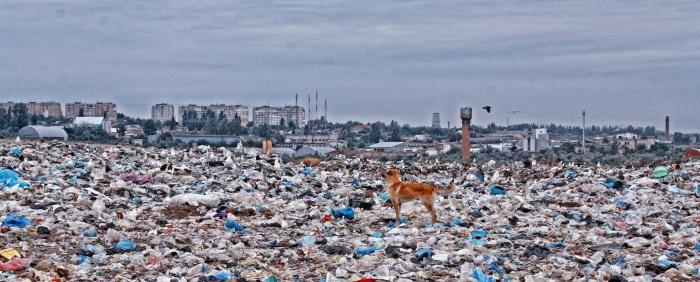 Во Владимирской области прокуратура потребовала закрыть переполненный мусорный полигон