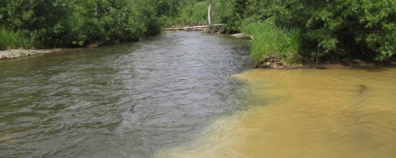 Реки в Красноярском крае загрязняют золотодобытчики