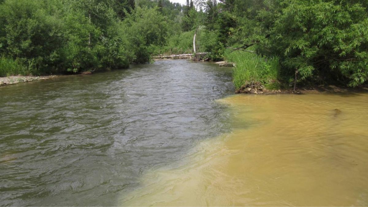 Реки в Красноярском крае загрязняют золотодобытчики