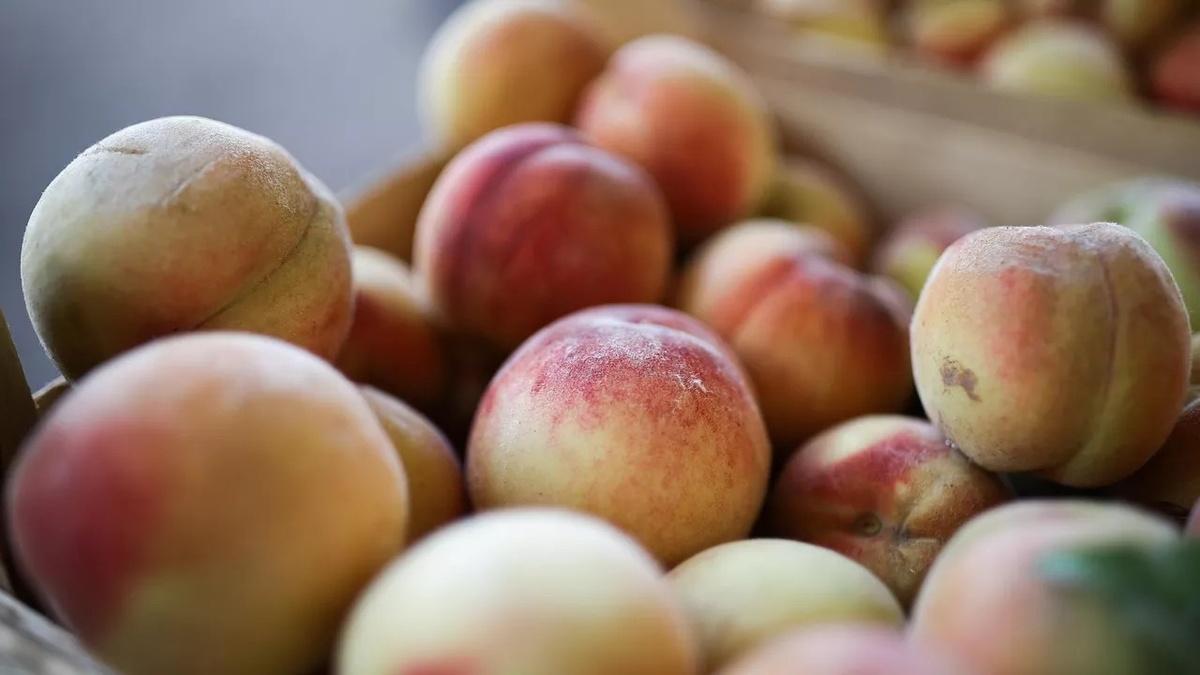 Россия заняла 2-е место в мире по экспорту персиков из Китая
