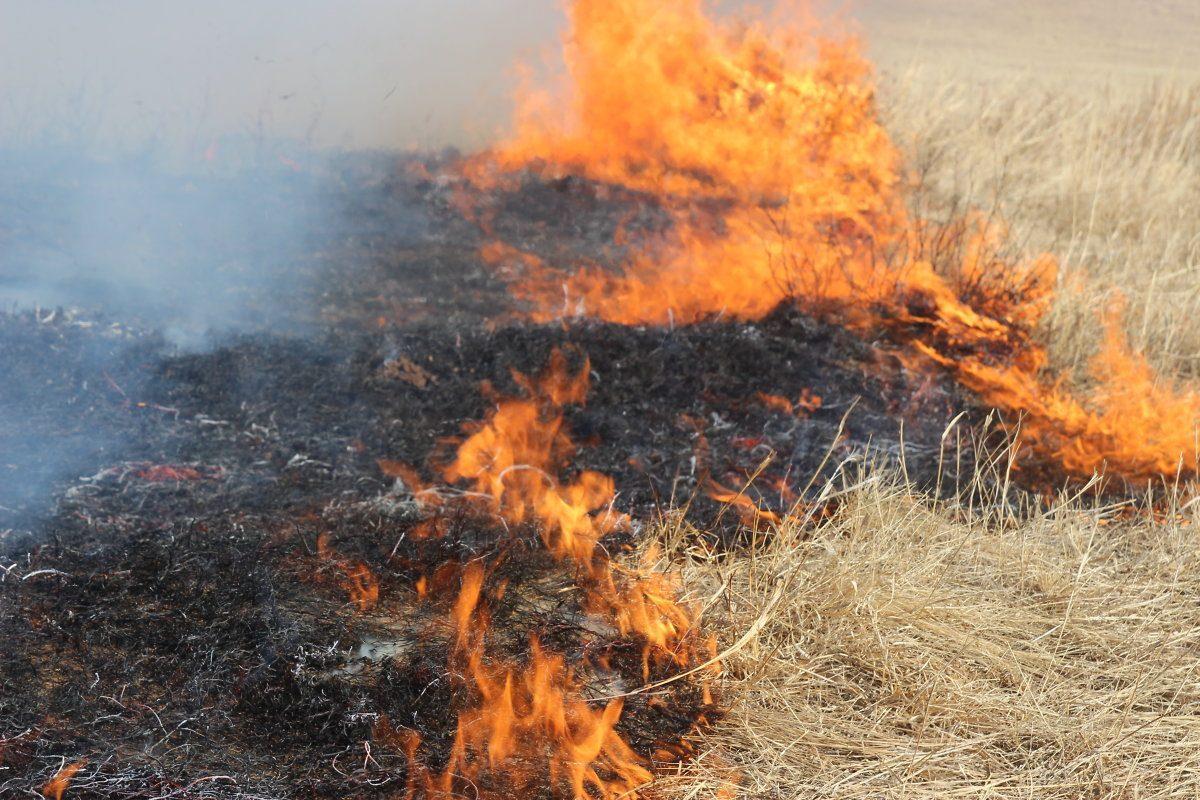 В Адыгее за неделю произошло 34 возгорания