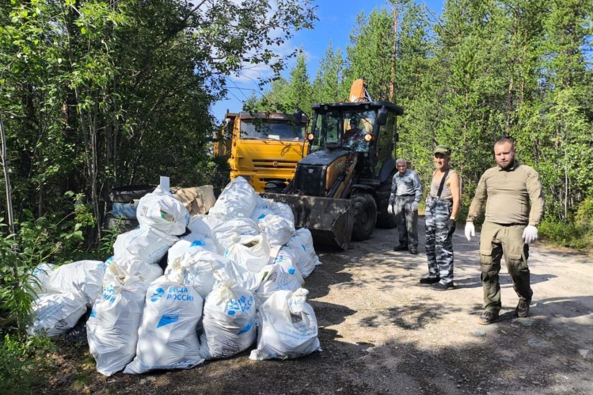 В одном из лесничеств Мурманской области обнаружилась свалка с опасными отходами