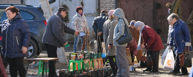 В Пскове провели рейд по пресечению несанкционированной торговли