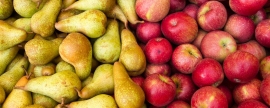Врач Бокерия посоветовала есть яблоки и груши, чтобы снизить риск развития рака