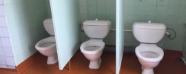 Родители пожаловались на состояние туалетов в школе №16 в Новосибирске