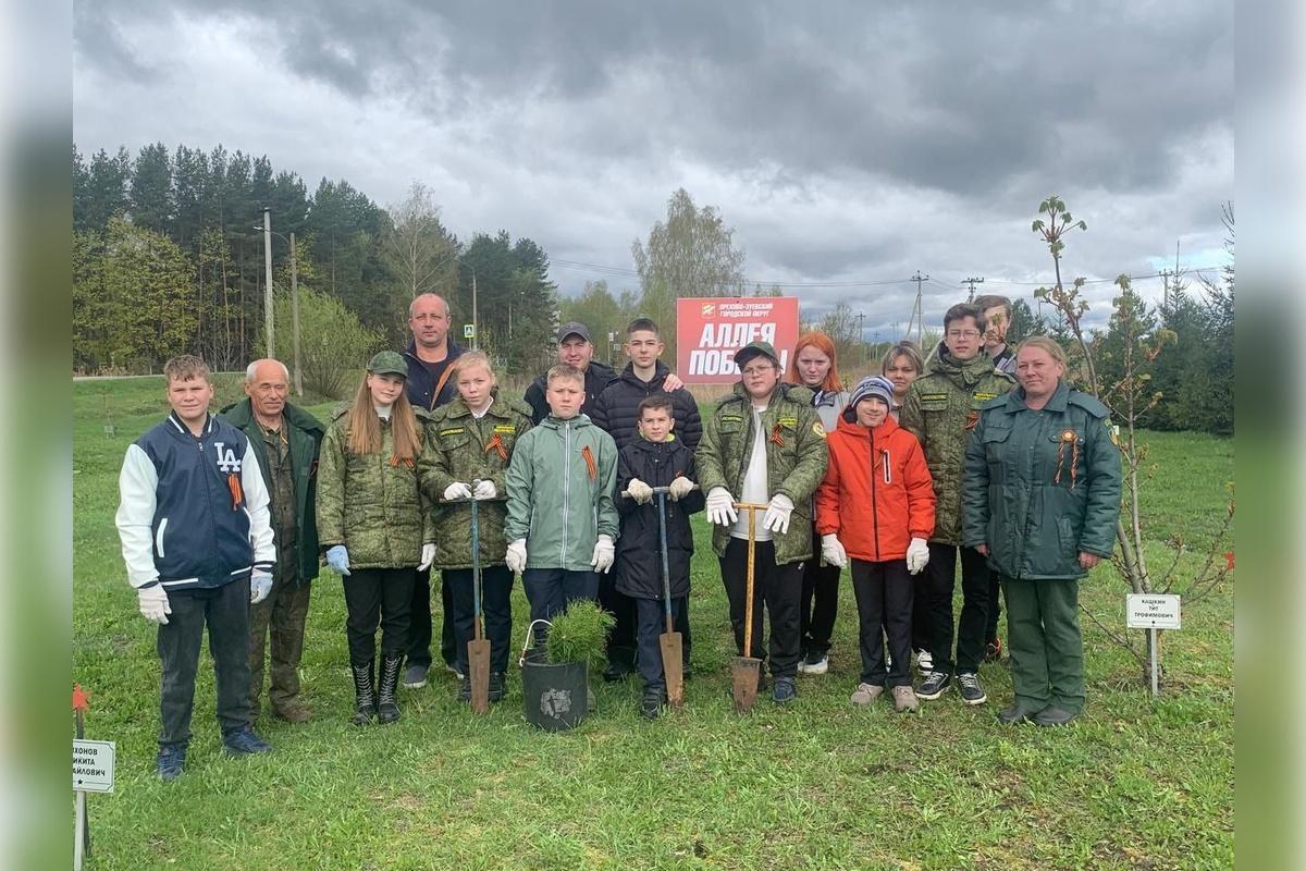 Жители деревни Губино Орехово-Зуевского округа высадили деревья на «Аллее Победы»