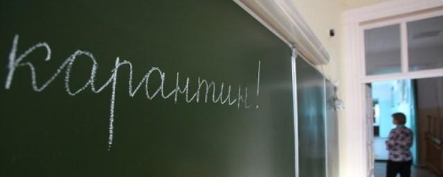 В Петрозаводске две школы закрыли на карантин из-за эпидемии