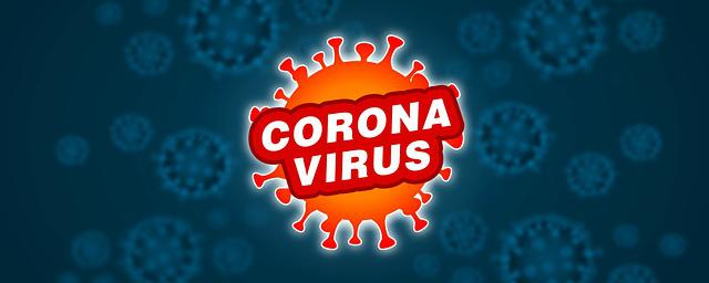 В Марий Эл не отменят спортивные мероприятия из-за коронавируса