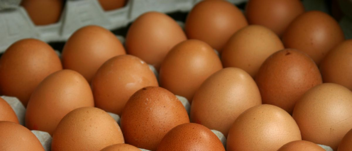 В Россию ввезли еще 306000 куриных яиц из Азербайджана