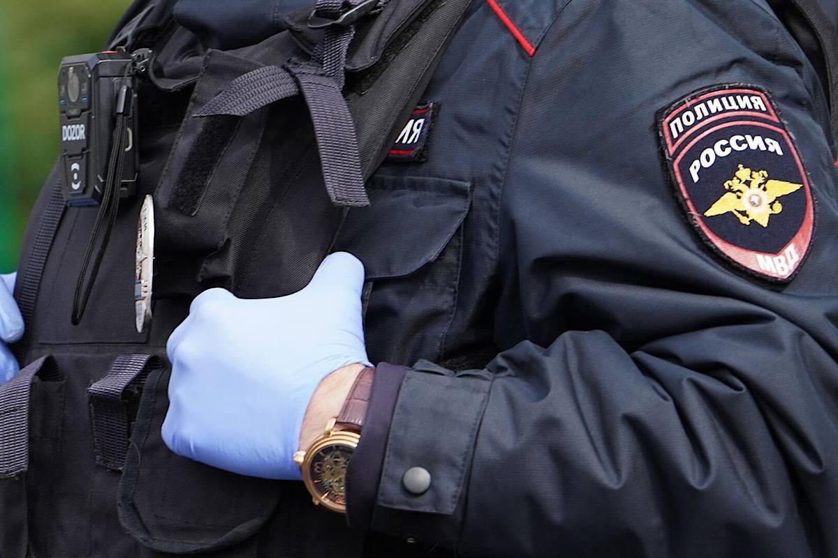 В Петербурге задержали приезжего из Тувы за жестокое избиение местного жителя