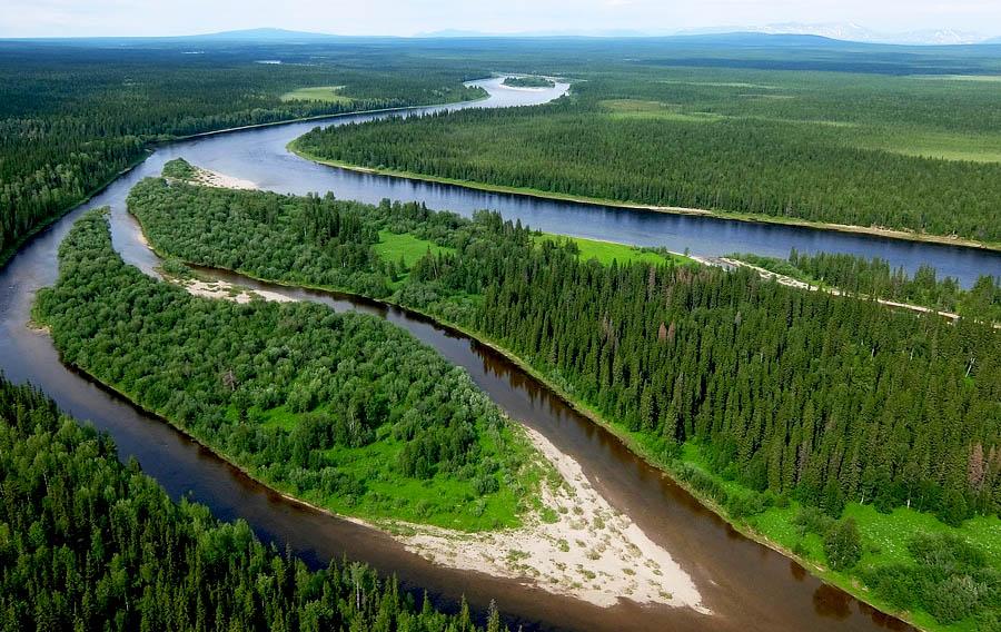 В реках Коми из-за проливных дождей поднялся уровень воды