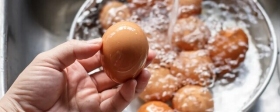 Россиянам рассказали, как правильно мыть куриные яйца, чтобы защититься от сальмонеллеза