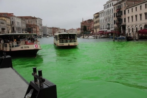 Прокуратура Венеции завела дело на Грету Тунберг