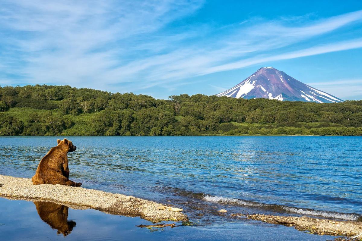 Tourists in Kamchatka are offered to rent a whole hotel