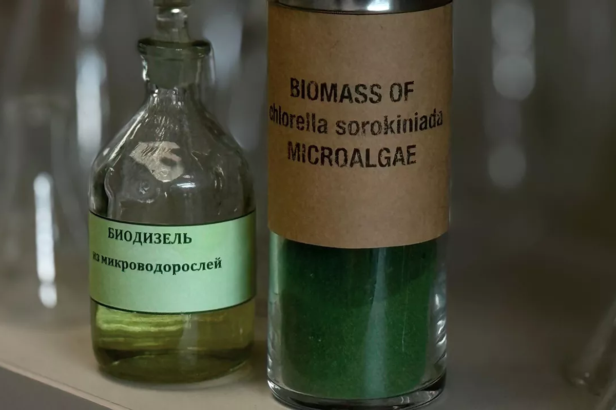 В Петербурге разработали метод получения биоводорода из промышленных выбросов