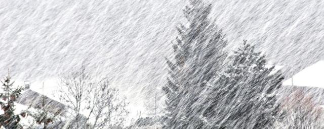 В трех районах Коми объявили 23 и 24 марта штормовое предупреждение из-за снегопада