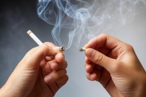 Компонент «волшебных грибов» показал преимущество над привычными методами отказа от табака