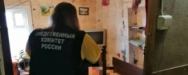 Жительница Волгоградской области забила сожителя насмерть ножом и молотком