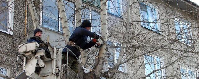 11 декабря в связи с опиловкой деревьев в центре Рязани отключат свет