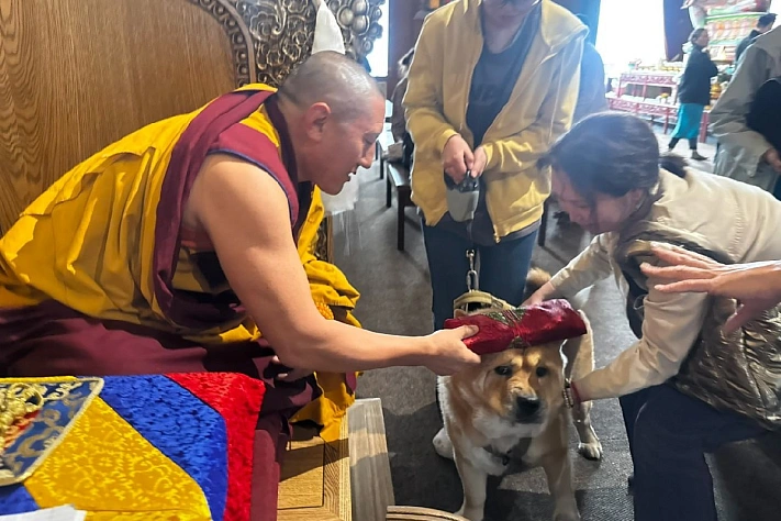 В Кызыле монахи провели ритуал сострадания для сотен питомцев и животных из приюта