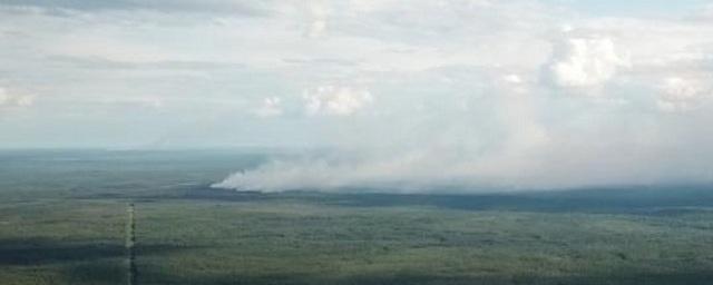 В Югре в воздухе обнаружили превышение ПДК вредных веществ из-за лесных пожаров