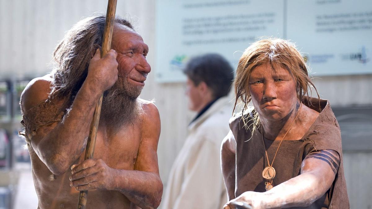 Палеонтологи нашли связь между неандертальцами и «жаворонками»