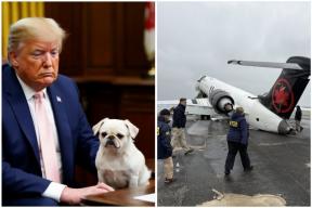 Великой Америки не получается: почему второй срок Трампа превратился в череду провалов