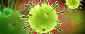 В Костромской области выявили 15 случаев коронавируса