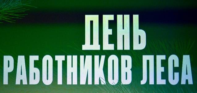 В Тверской области наградили специалистов лесного комплекса