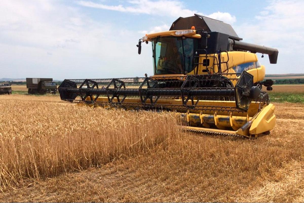 Кабардино-Балкария вошла в пятёрку лидеров по урожайности зерновых в 2024 году